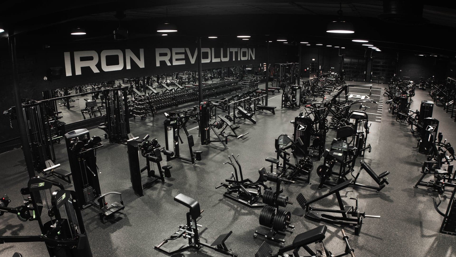 Bodybuilding - Image 1